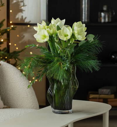 Hvit amaryllisbukett  Hvit amaryllisbukett